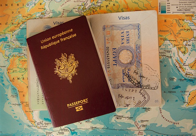 amittours - India Visa and passport