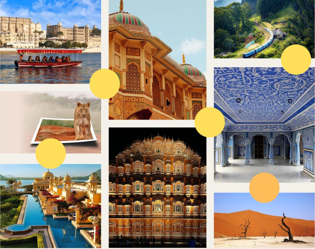 Royal Rajasthan (21 days / 20 nights) Driver in Bharat Tours agency